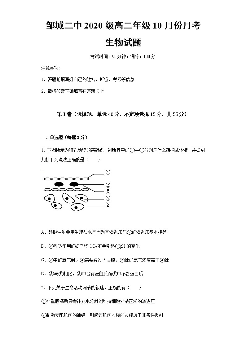 2022济宁邹城二中高二10月月考生物试题含答案01