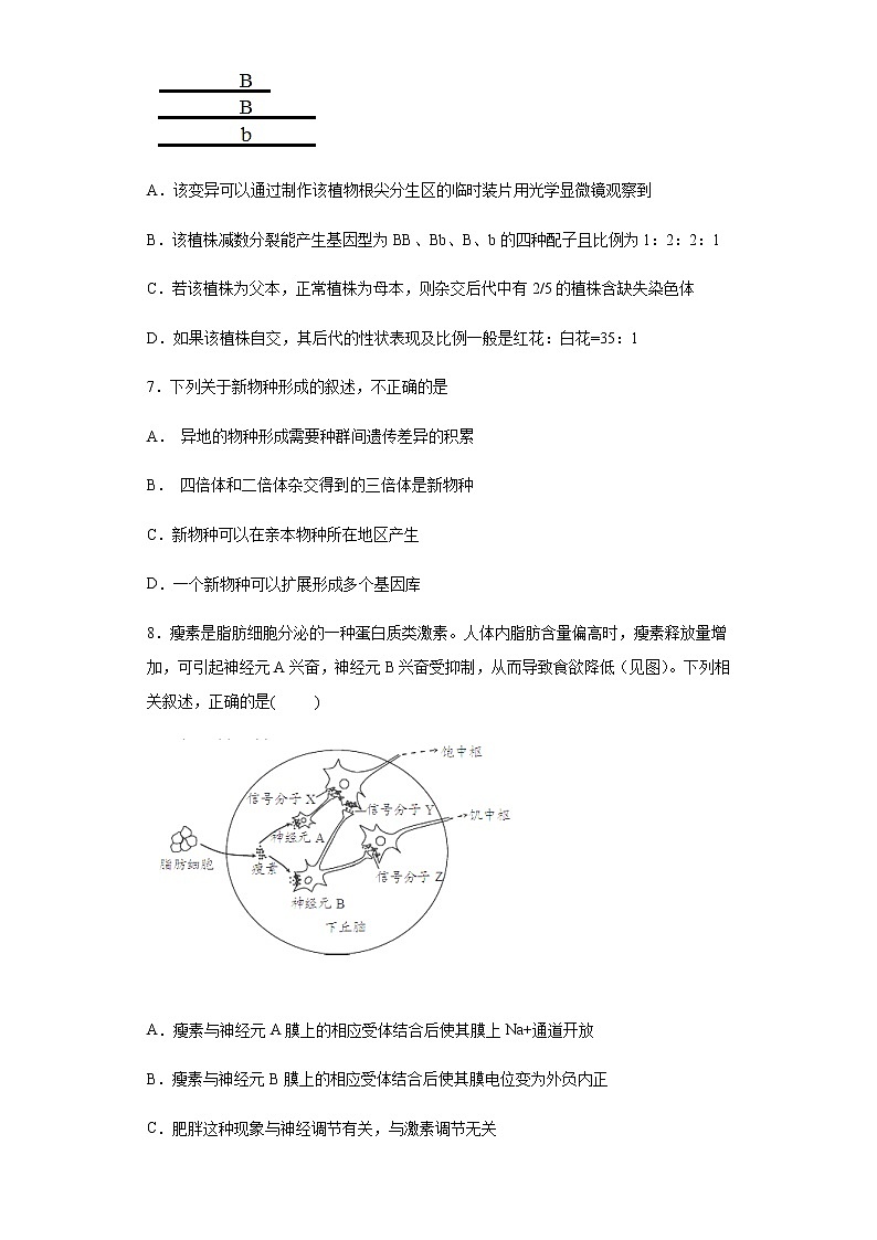 2021河北省正定中学高二上学期期末考试生物试题含答案第3页