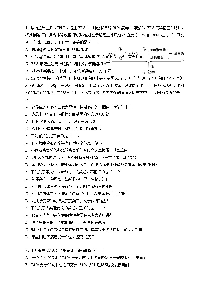 2021河北省正定中学高二上学期第一次月考生物试题含答案02