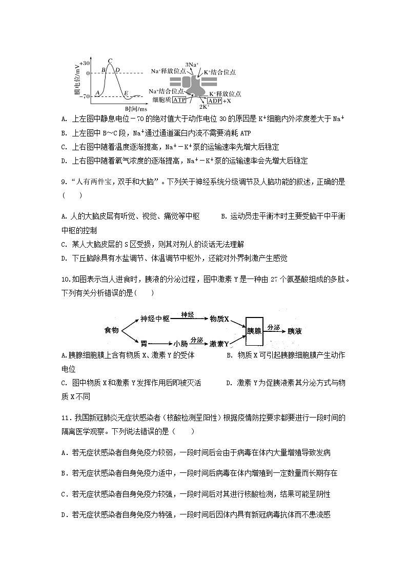 2021河北省正定中学高二上学期第三次月考生物试题含答案03