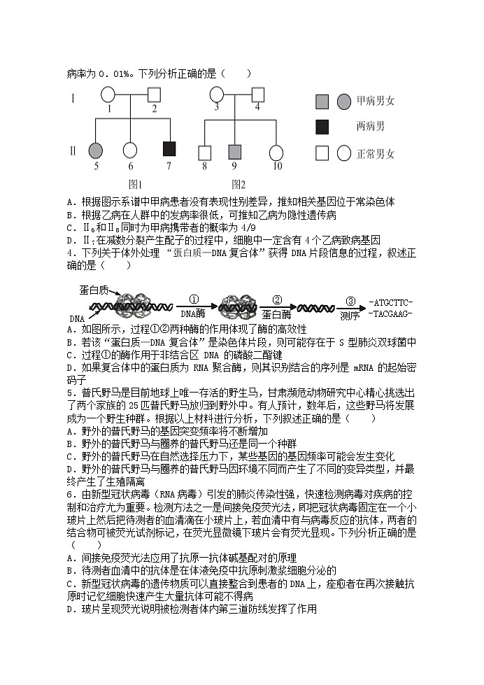 2021河北省正定中学高二上学期第二次月考生物试题含答案02