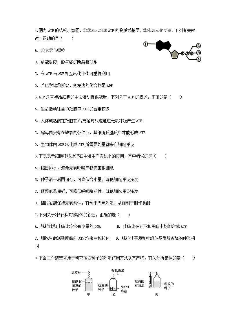 2021江西省靖安中学高二上学期第二次月考生物试题含答案02
