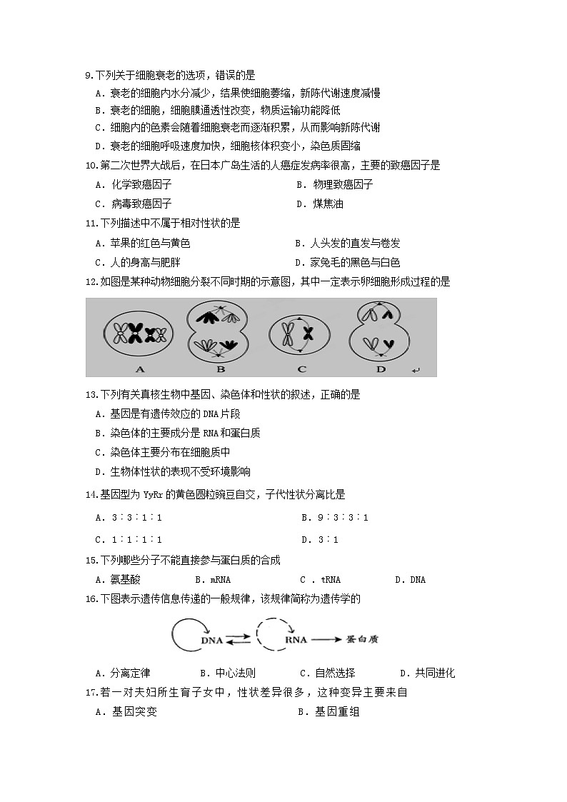 2021邵东县三中高二上学期期中考试生物（学考）试题含答案02