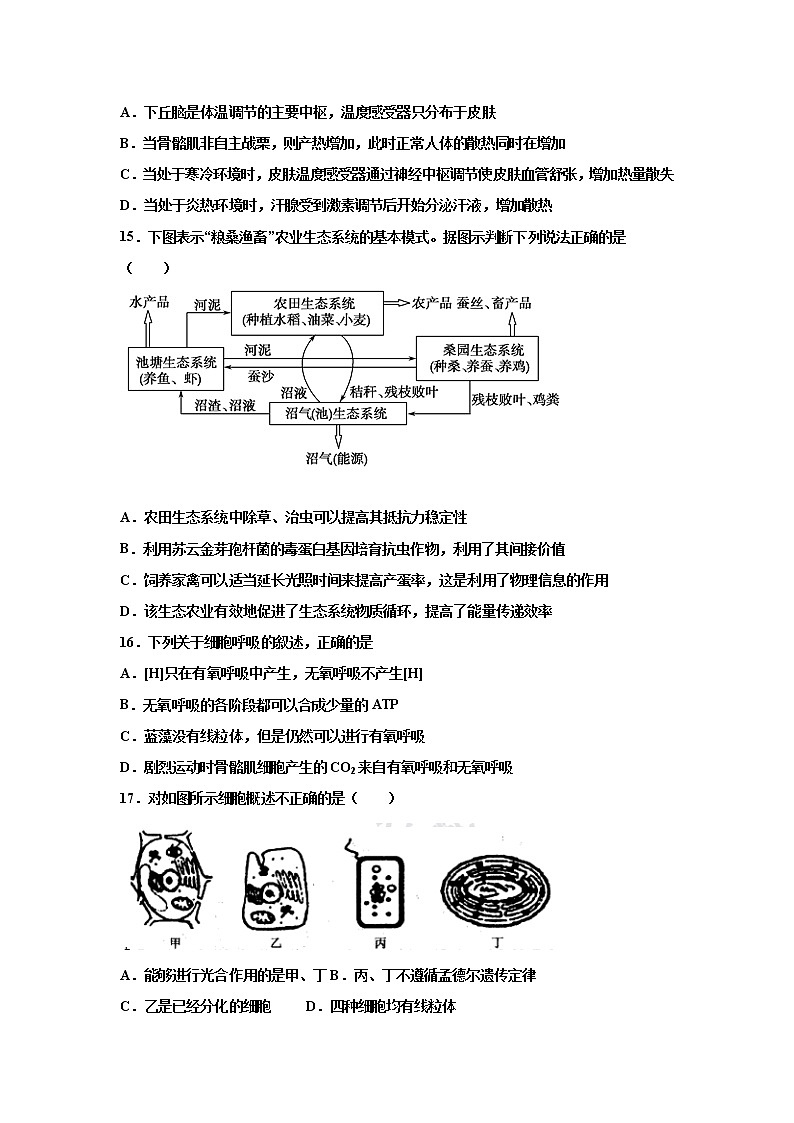 2021邵东县三中高二上学期期中考试生物（高考）试题含答案03