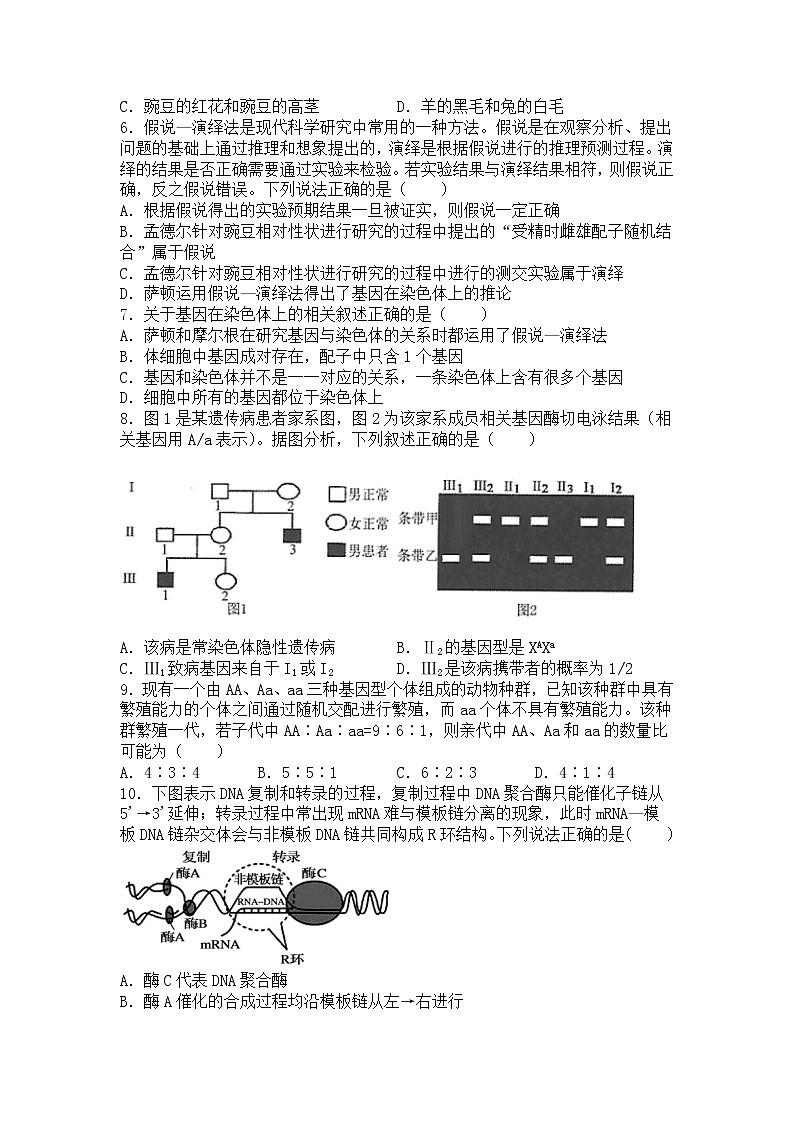 2022大连一中高二上学期学情反馈（一）生物试题含答案第2页