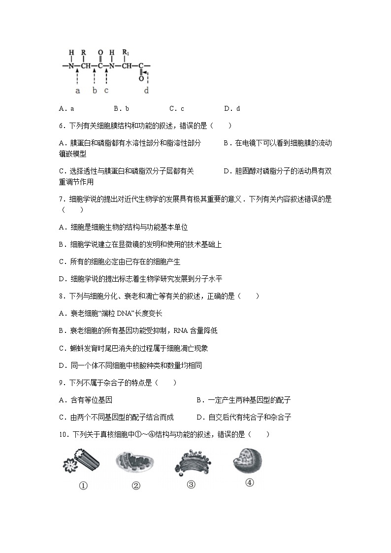 2022浙江省“精诚联盟”高二上学期返校考试生物试题含答案第2页