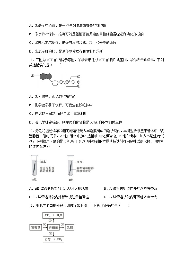 2022浙江省“精诚联盟”高二上学期返校考试生物试题含答案第3页