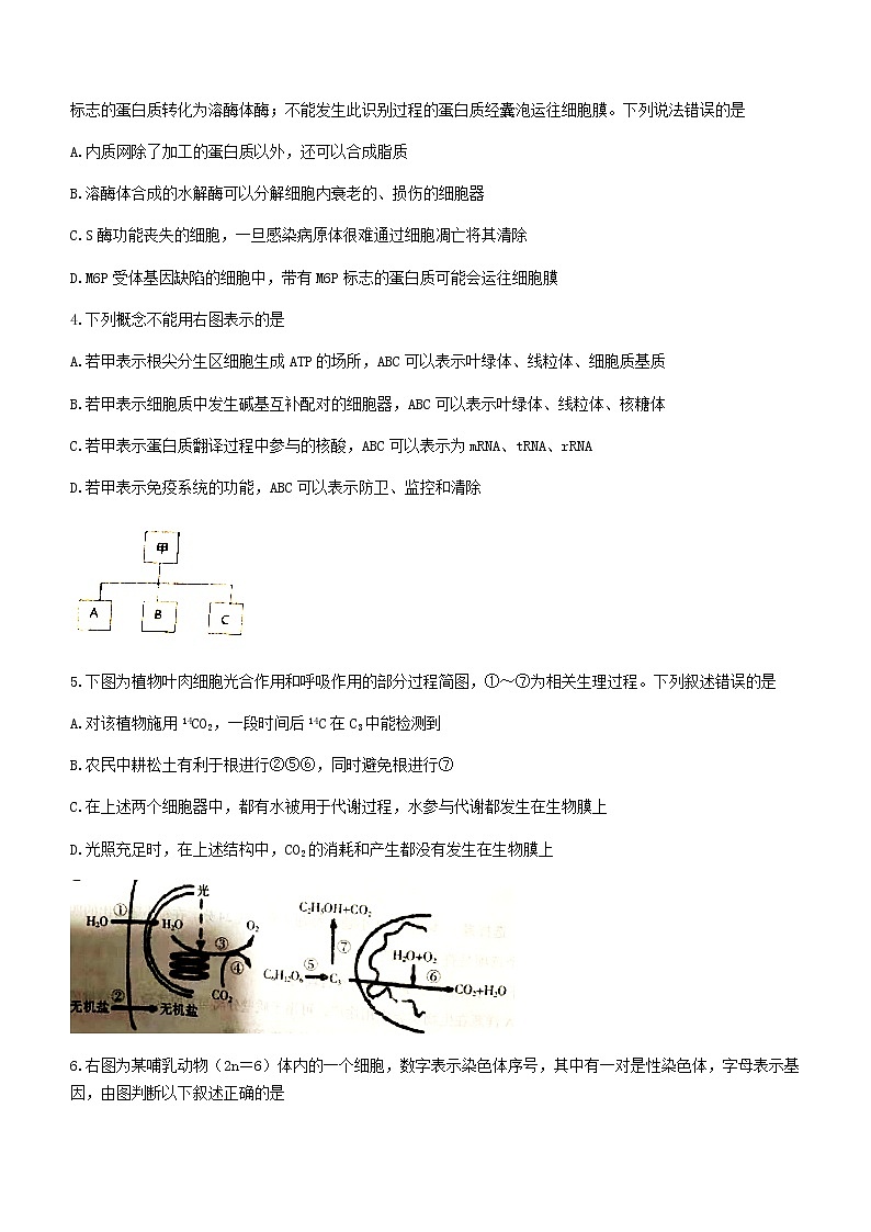 2021岳阳高二下学期期末生物试题含答案第2页
