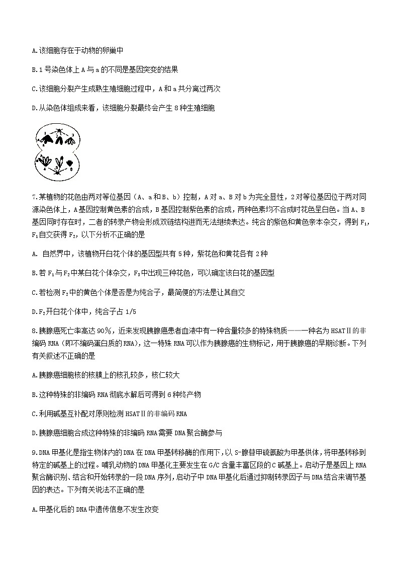 2021岳阳高二下学期期末生物试题含答案第3页