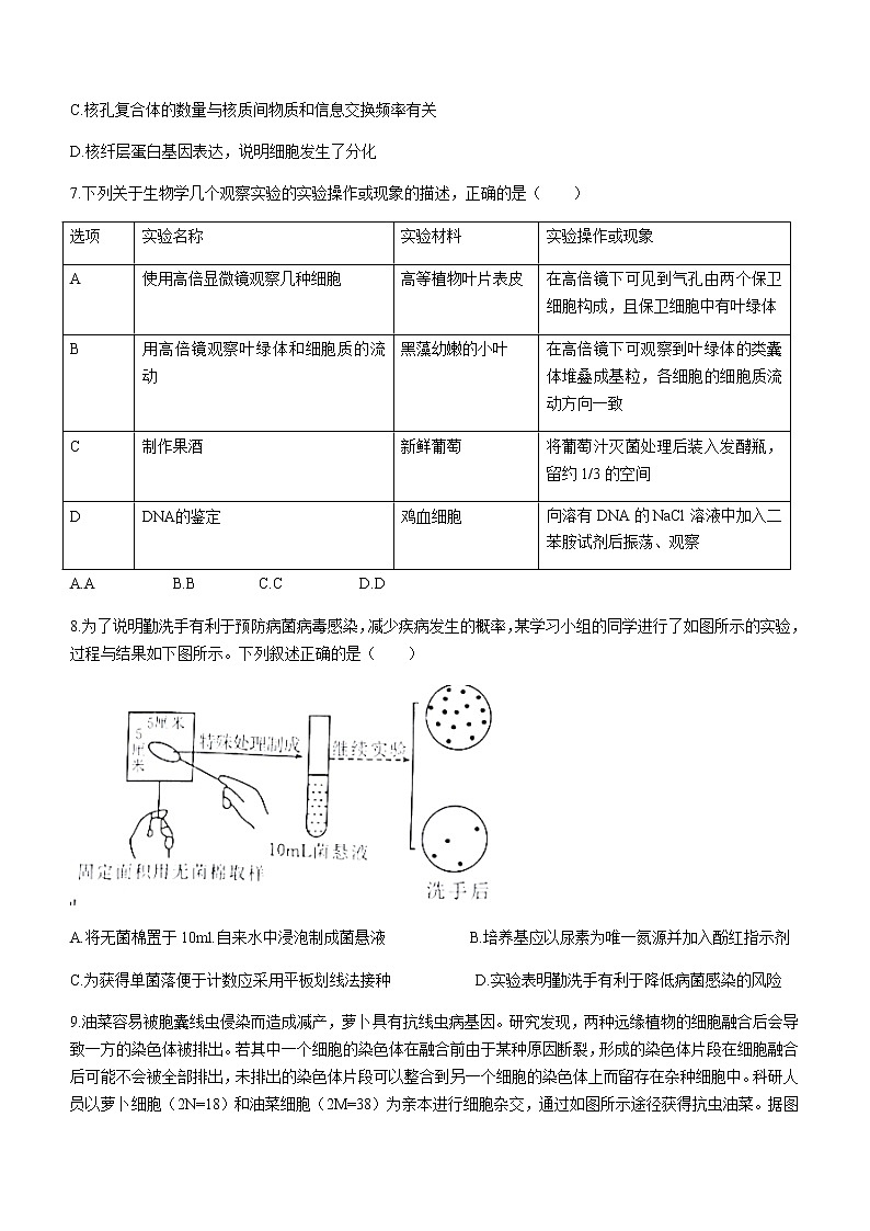 2021黄冈高二下学期期末生物试题含答案03
