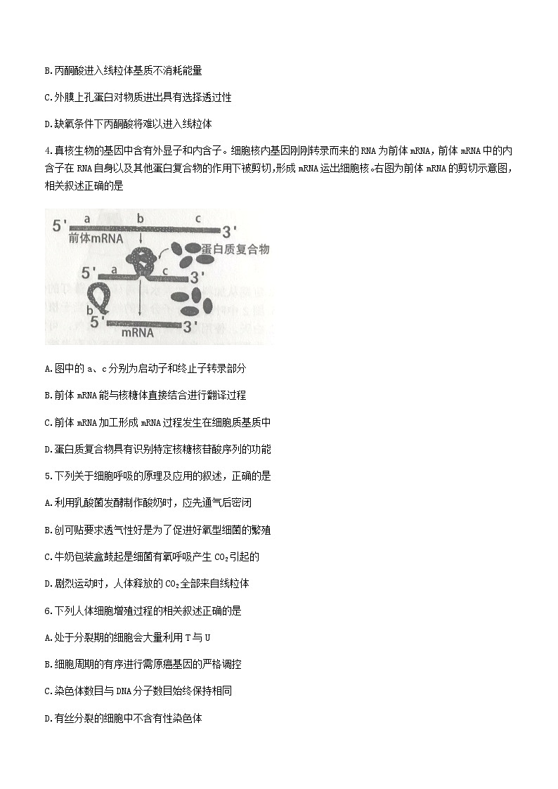 2021宿迁高二下学期期末考试生物试题含答案第2页