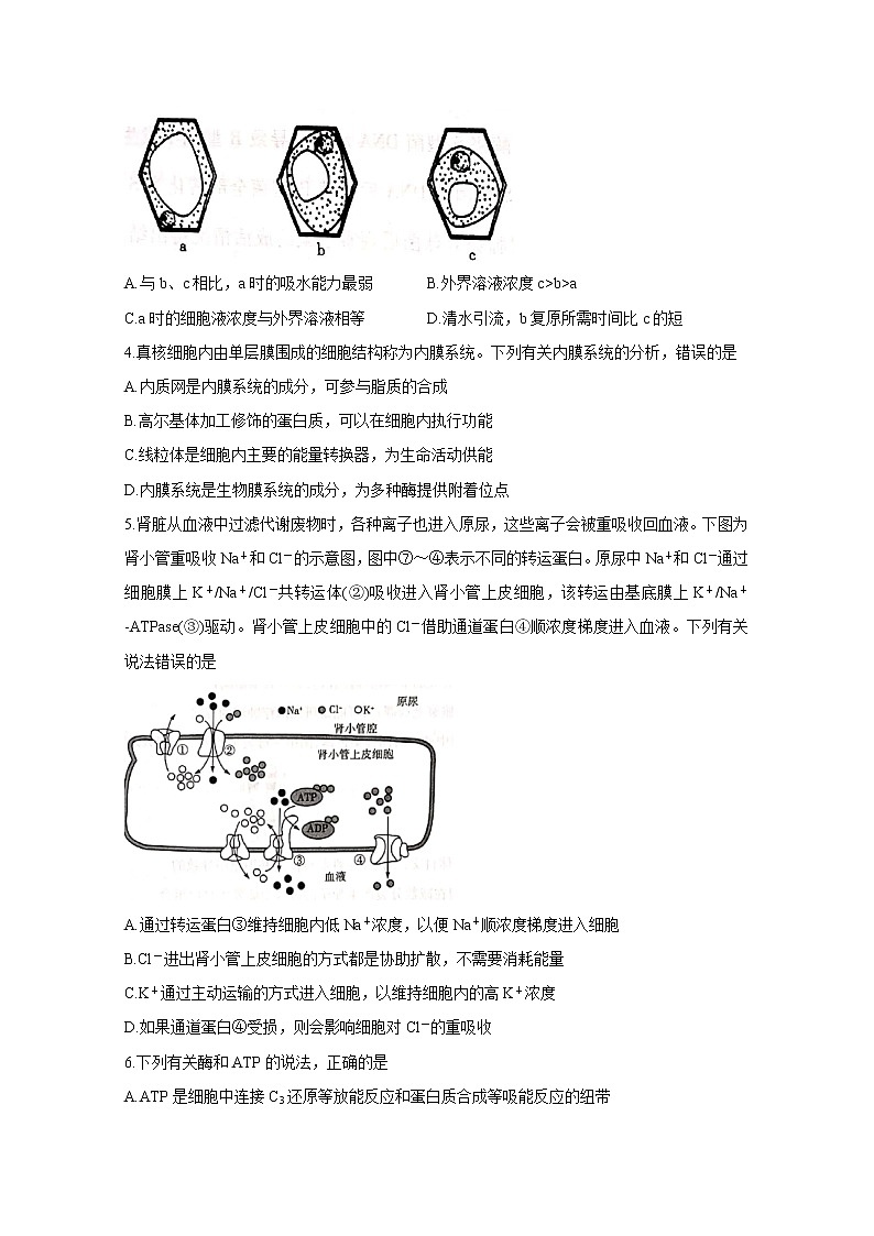 2022焦作普通高中新高二上学期定位考试生物含答案第2页