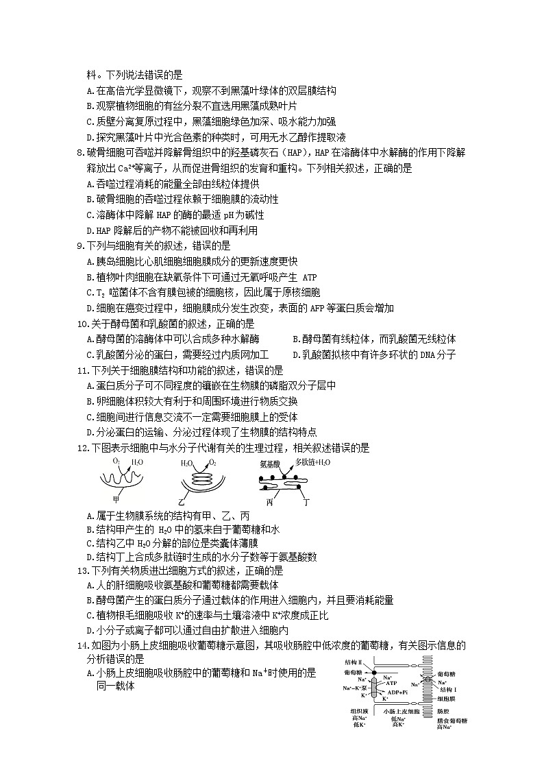 2021省齐齐哈尔高二下学期期末考试生物试题含答案02