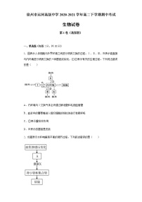 2021徐州运河高级中学高二下学期期中考试生物试题含答案