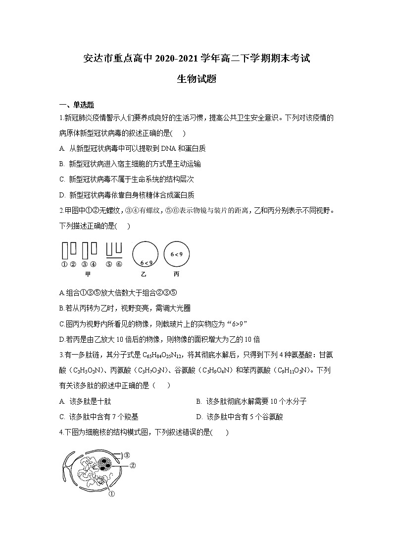 2021省安达重点高中高二下学期期末考试生物试题含答案第1页
