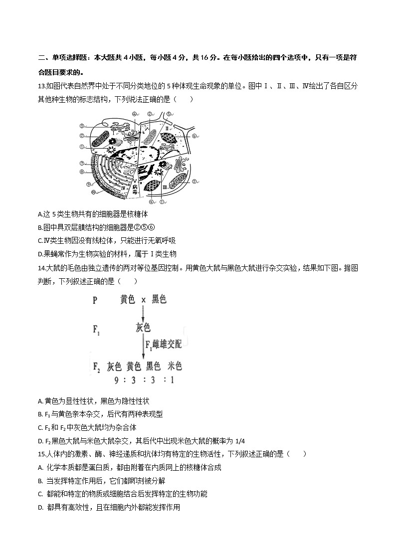 2021揭阳揭西县河婆中学高二上学期第一次月考生物试题含答案03
