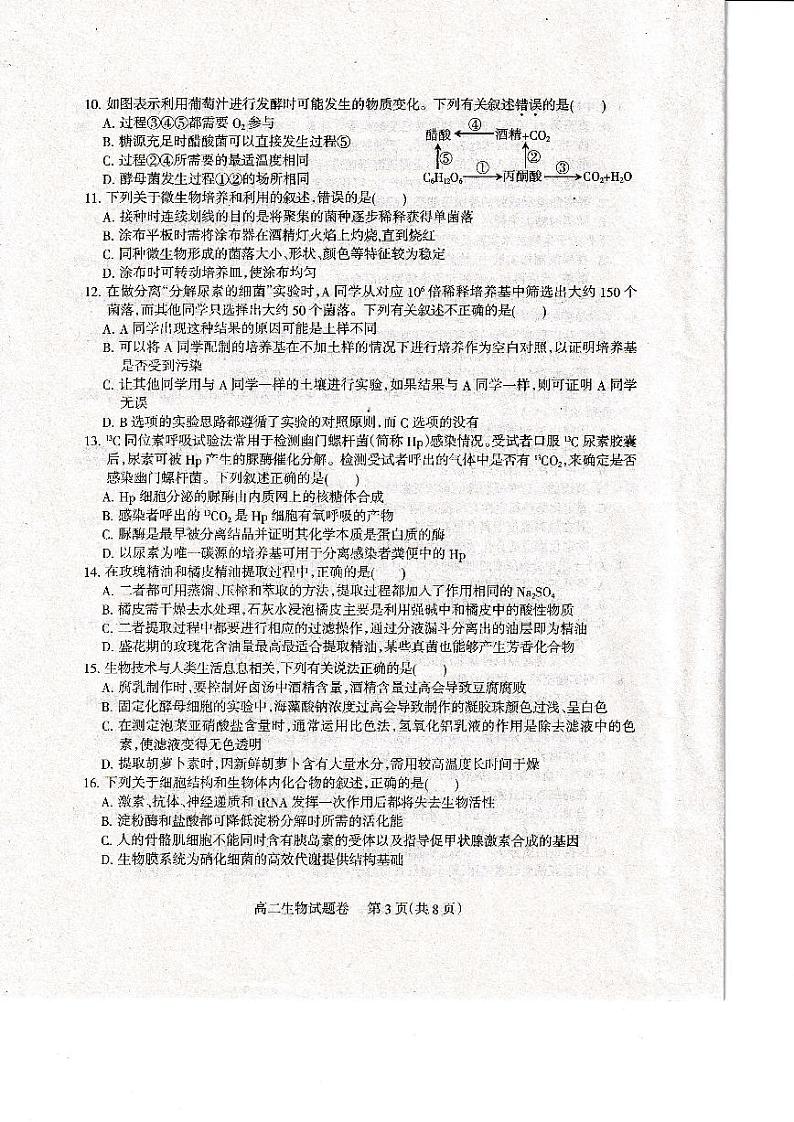 2020-2021学年度下期凉山州期末统考高二生物（考试时间20210716）第3页