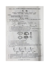 2021沈阳郊联体高二下学期期末考试生物试题扫描版缺答案