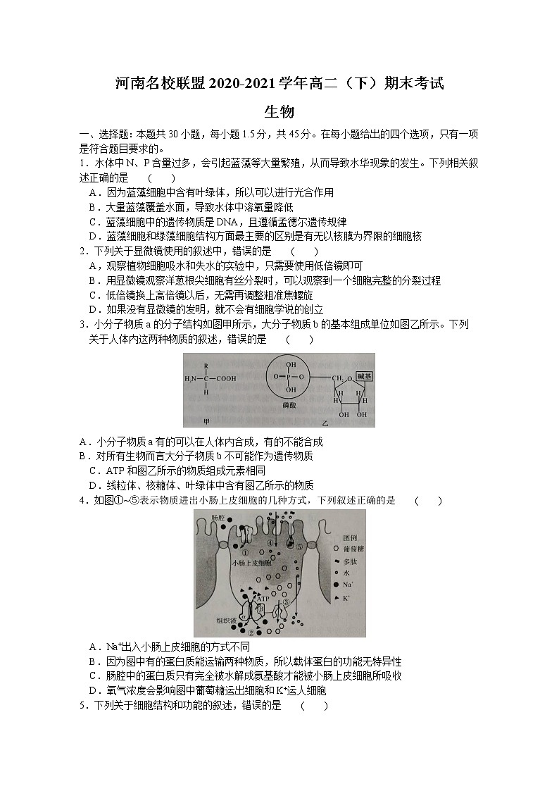 河南名校联盟2020-2021学年高二下学期期末考试生物试题（word版）第1页