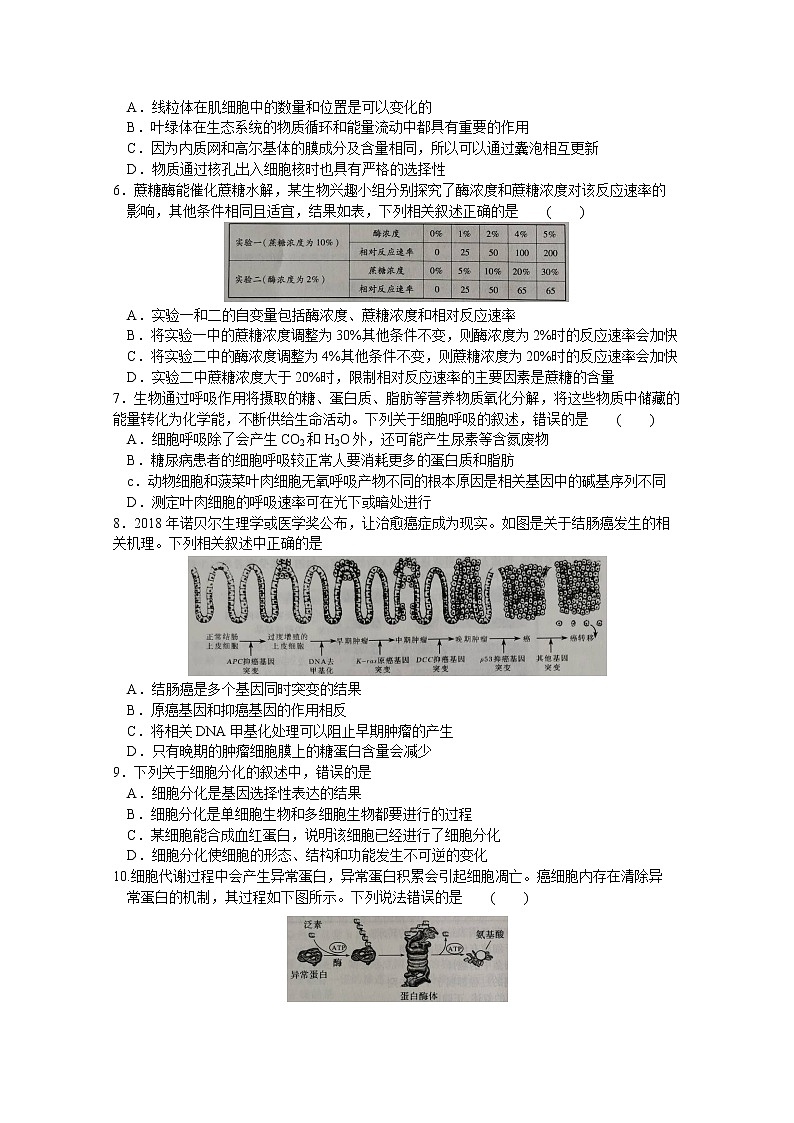 河南名校联盟2020-2021学年高二下学期期末考试生物试题（word版）第2页