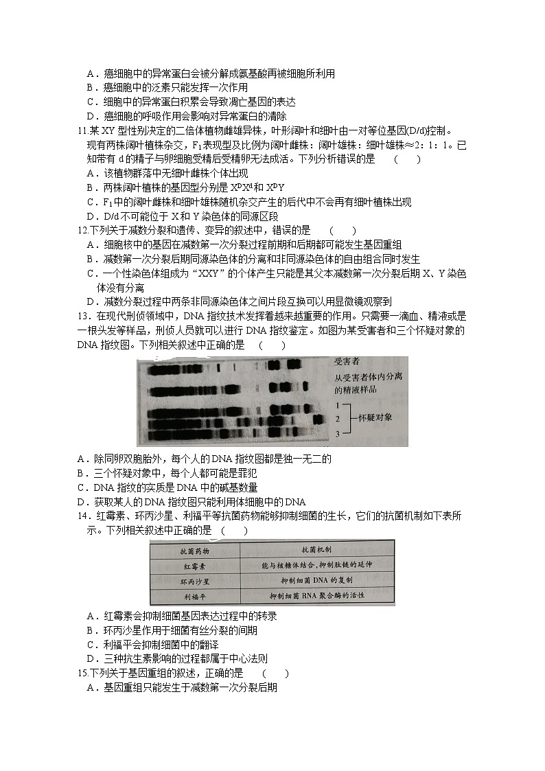 河南名校联盟2020-2021学年高二下学期期末考试生物试题（word版）第3页
