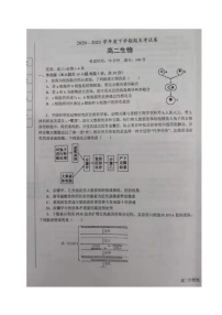 2021鞍山高二下学期期末考试生物试题扫描版缺答案