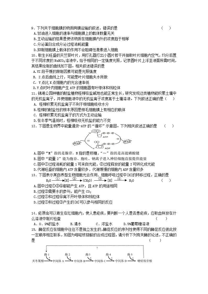2021洮南第一高中高二下学期期末考试生物试题含答案第2页