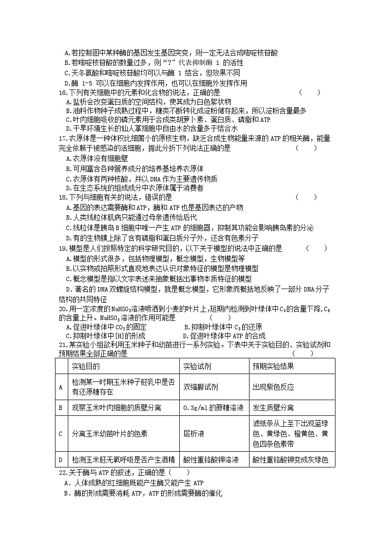 2021洮南第一高中高二下学期期末考试生物试题含答案第3页
