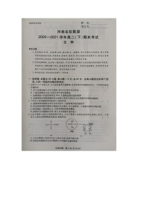 2021河南省名校联盟高二下学期期末考试生物试题扫描版含答案