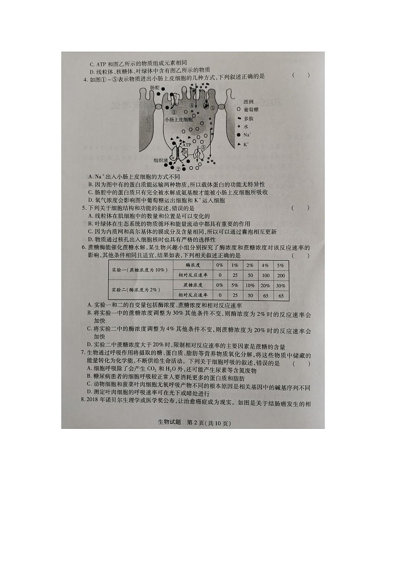 河南名校联盟2020-2021学年高二下学期期末考试生物试题（图片版）第2页