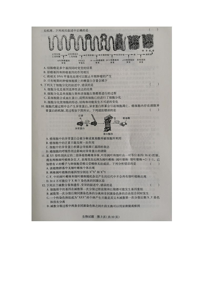 河南名校联盟2020-2021学年高二下学期期末考试生物试题（图片版）第3页