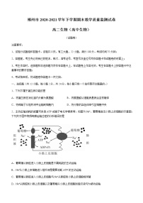 2021郴州高二下学期期末考试生物试题含答案