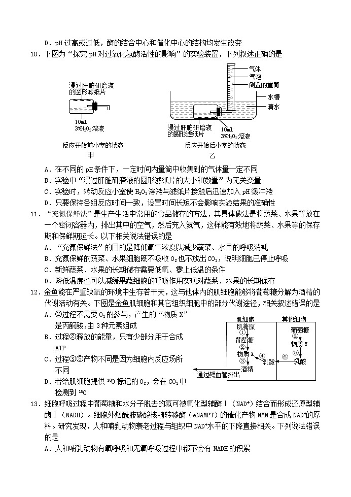 山东省烟台市2020-2021学年高二下学期期末考试生物试题第3页
