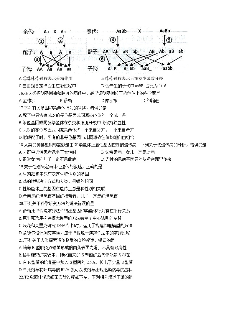 2021南充高二下学期期末生物试卷含答案第3页