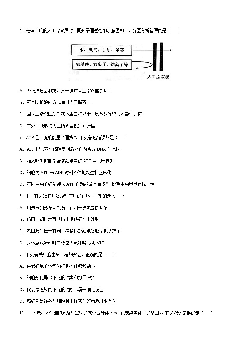 2021昆明高二下学期期末生物试题含答案02