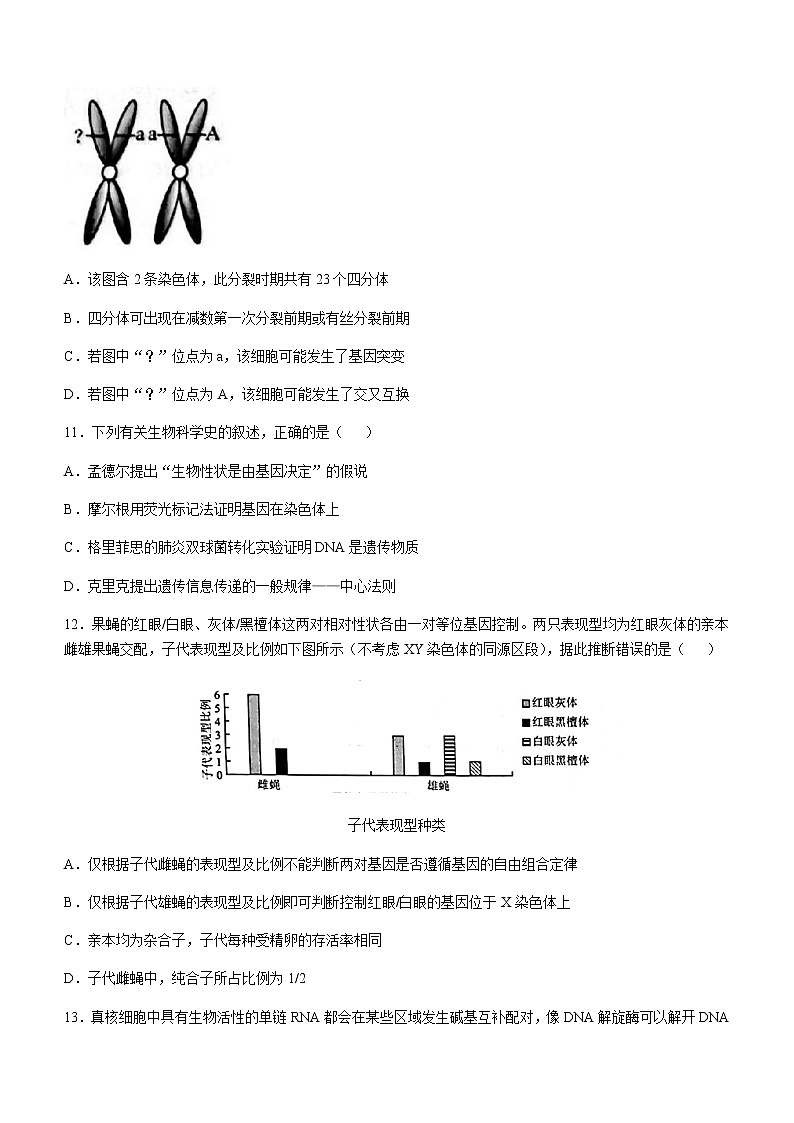 2021昆明高二下学期期末生物试题含答案03
