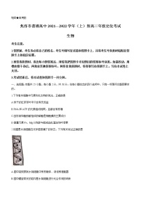 2022焦作新高二上学期定位考试生物试题含答案