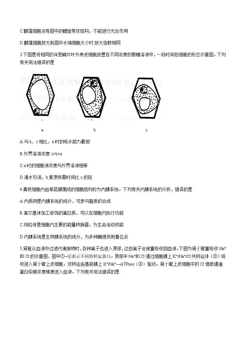 2022焦作新高二上学期定位考试生物试题含答案02
