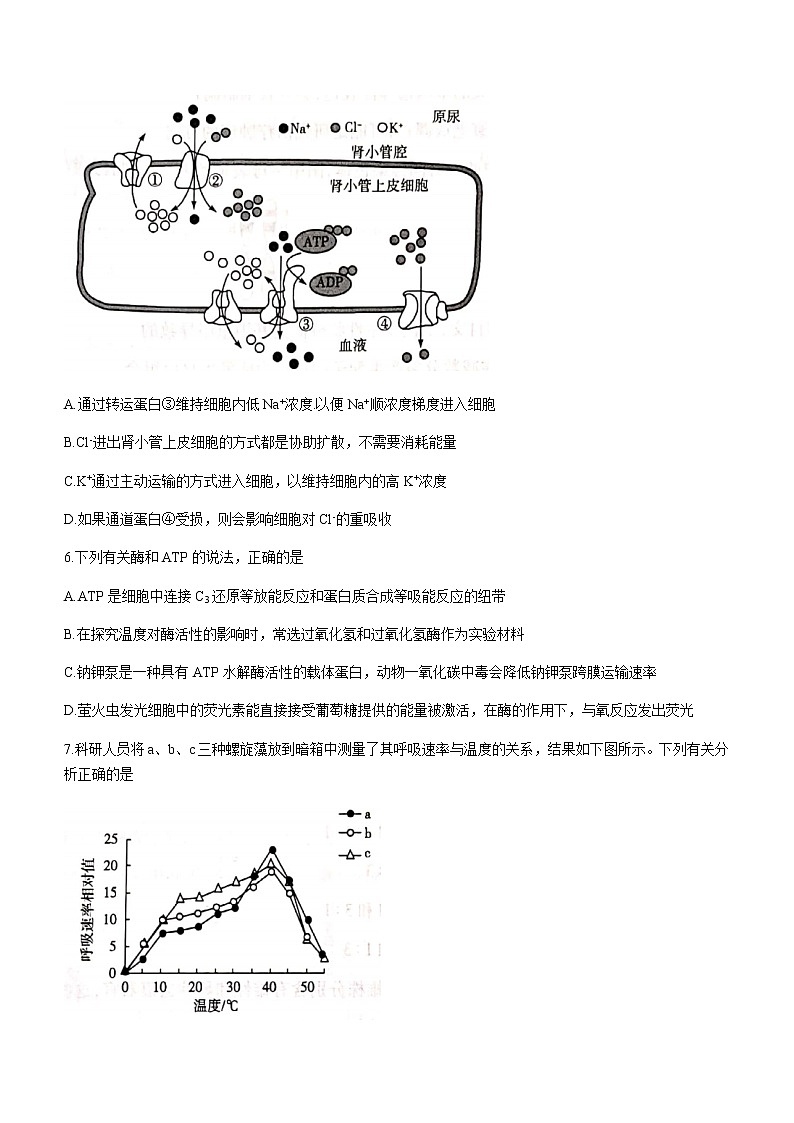 2022焦作新高二上学期定位考试生物试题含答案03