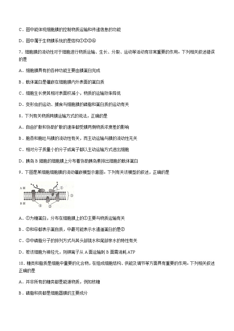 2021石家庄高二下学期期末联考生物试题含答案第3页