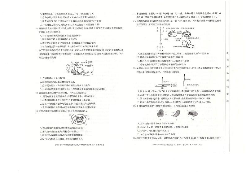 2020-2021学年度石家庄市高二第二学期期末联考生物试题第2页