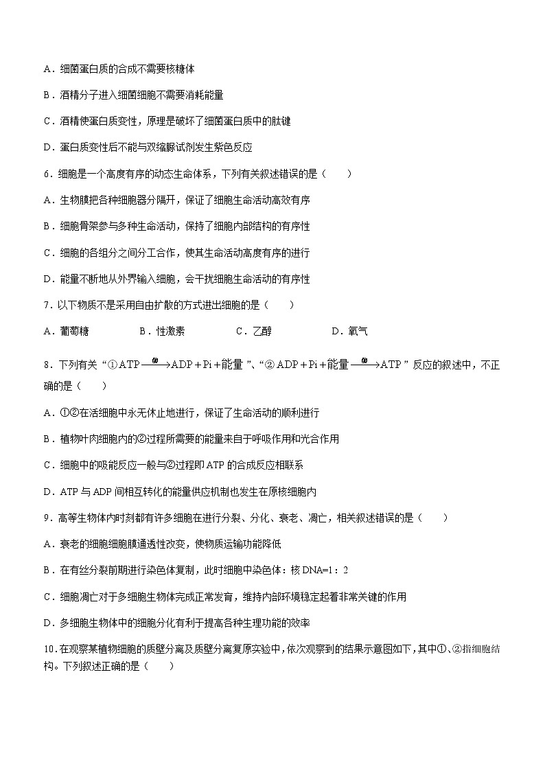 2021桂林高二下学期期末生物（理）试卷含答案第2页