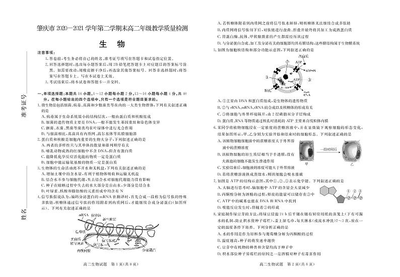 肇庆市2020—2021学年第二学期末高二年级教学质量检测生物试卷第1页
