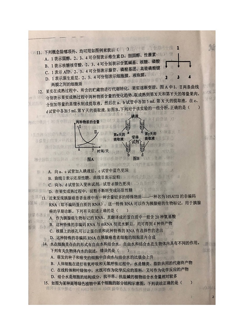 2021六安一中高二下学期期末考试生物试题（图片版）扫描版含答案第3页