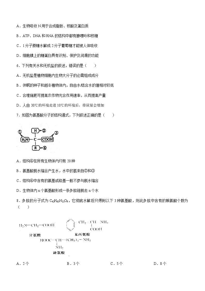 2021安徽省泗县一中高二下学期期末考试生物试题含答案02