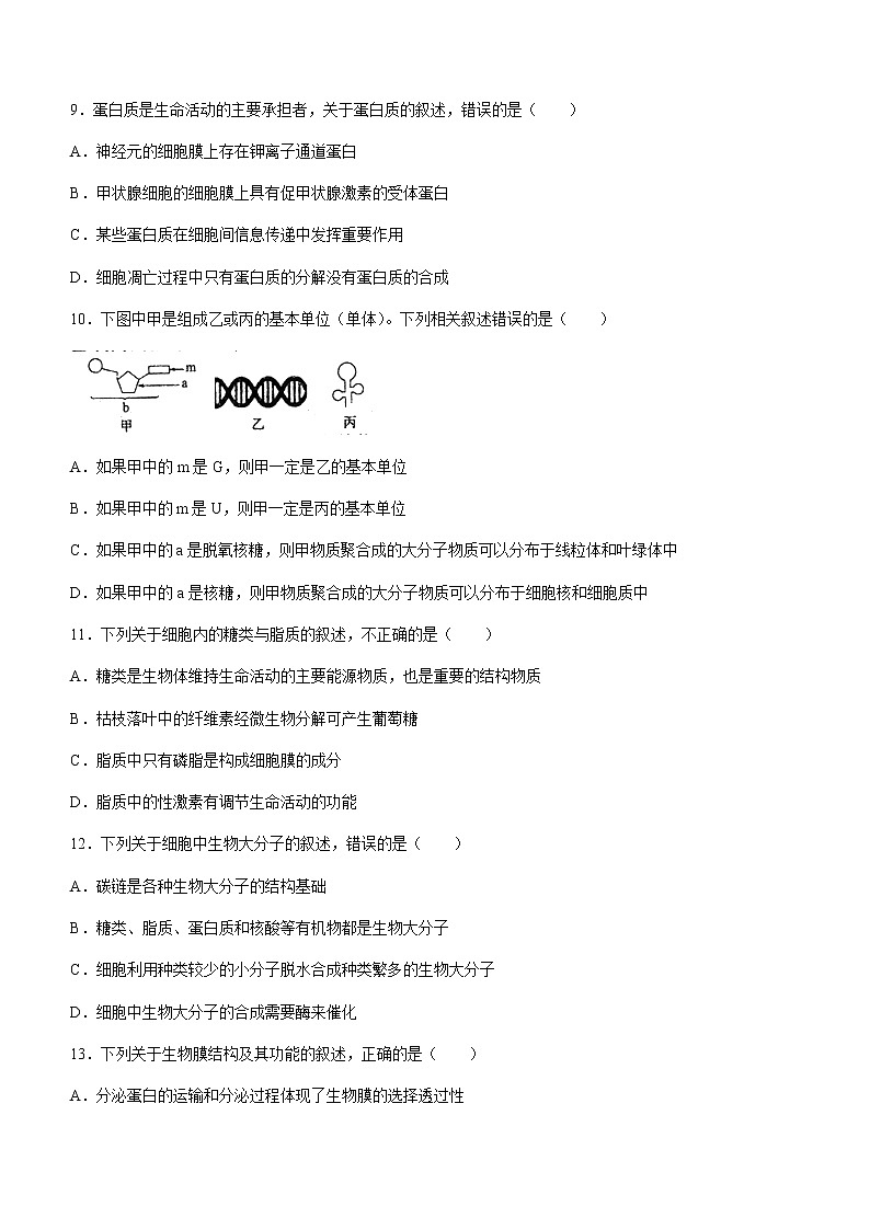 2021安徽省泗县一中高二下学期期末考试生物试题含答案03