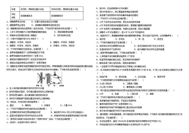 生物试题第2页