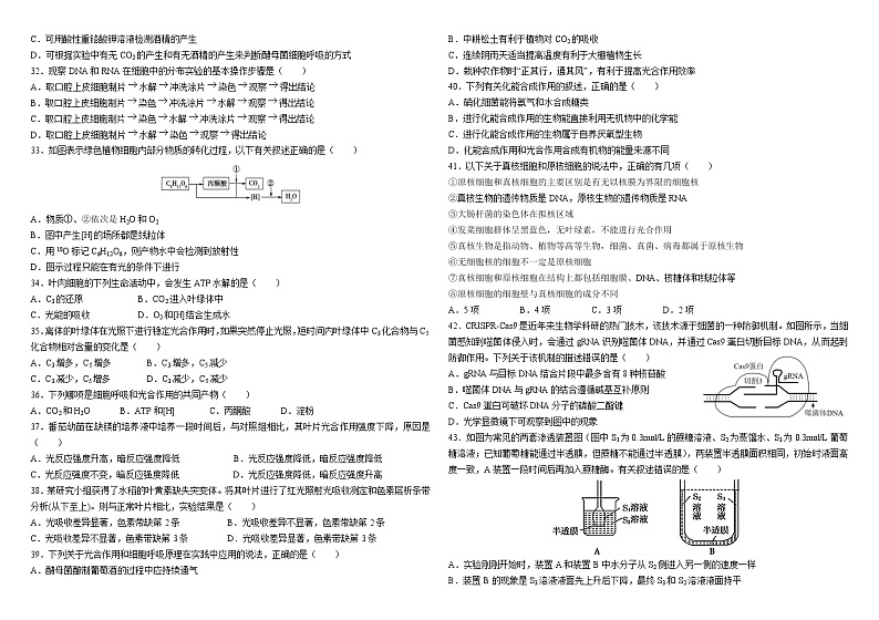 生物试题第3页
