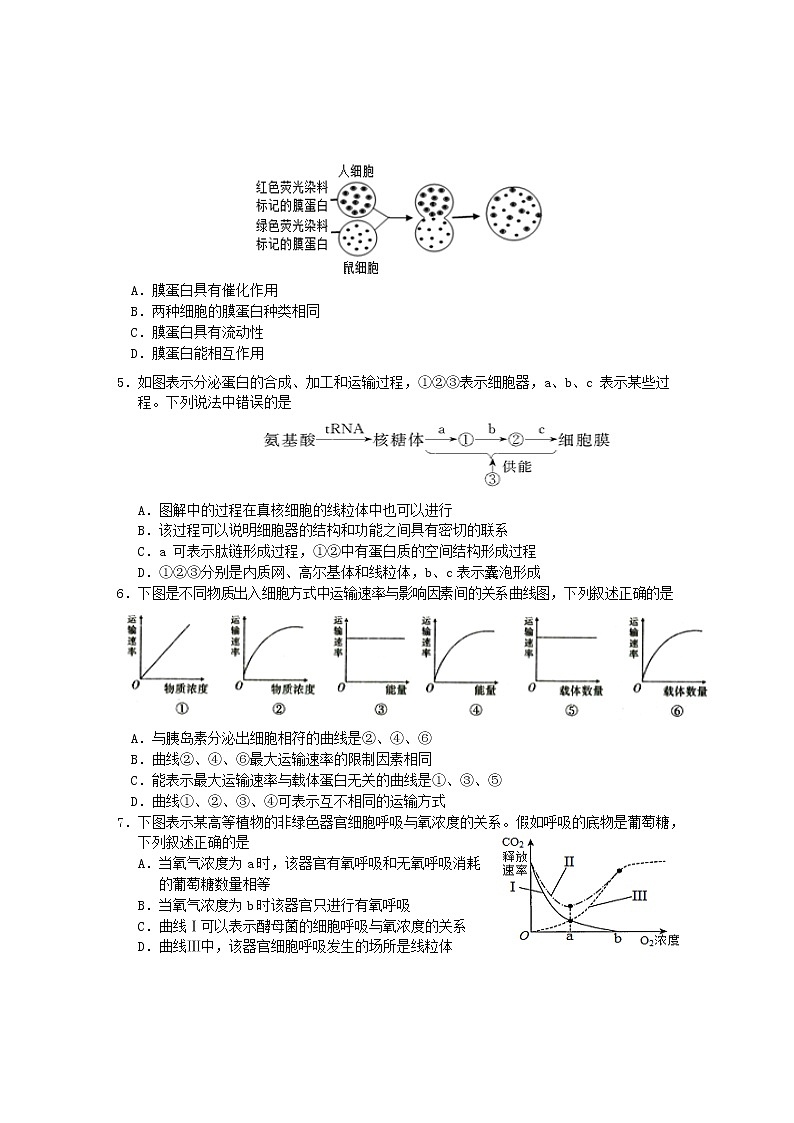 2021黄山高二下学期期末考试生物试卷含答案第2页
