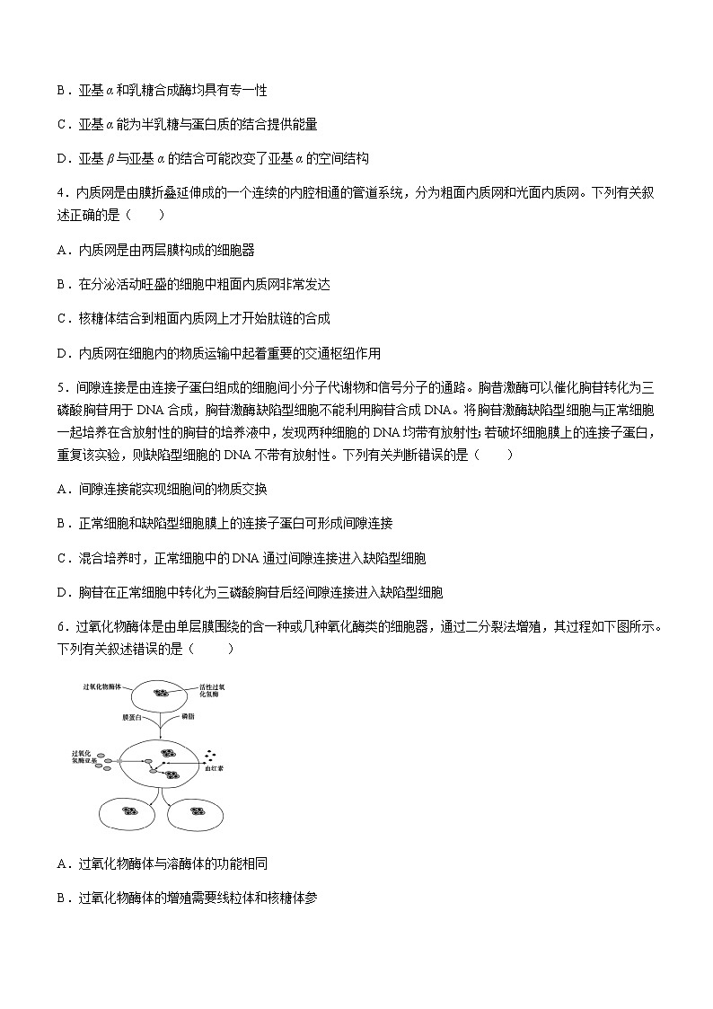 2021德州高二下学期期末考试生物试题含答案第2页